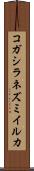 コガシラネズミイルカ Scroll