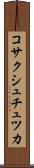 コサクシュチュツカ Scroll