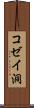 コゼイ洞 Scroll