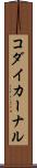 コダイカーナル Scroll