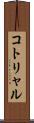 コトリャル Scroll