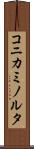 コニカミノルタ Scroll