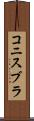 コニスブラ Scroll