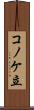 コノケ立 Scroll