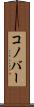 コノバー Scroll