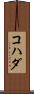 コハダ Scroll