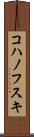 コハノフスキ Scroll