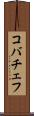 コバチェフ Scroll