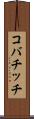 コバチッチ Scroll