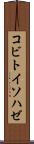 コビトイソハゼ Scroll