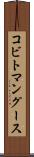コビトマングース Scroll