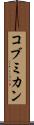 コブミカン Scroll
