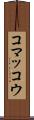 コマッコウ Scroll
