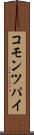 コモン・ツパイ Scroll