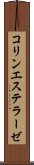 コリンエステラーゼ Scroll