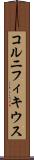 コルニフィキウス Scroll