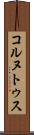 コルヌトゥス Scroll