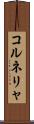 コルネリャ Scroll