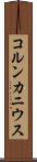 コルンカニウス Scroll