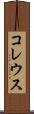 コレウス Scroll