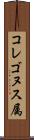 コレゴヌス属 Scroll