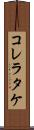 コレラタケ Scroll
