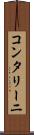 コンタリーニ Scroll