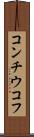 コンチウコフ Scroll