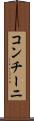 コンチーニ Scroll