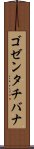 ゴゼンタチバナ Scroll