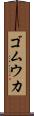 ゴムウカ Scroll