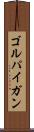 ゴルパイガン Scroll