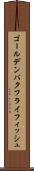 ゴールデンバタフライフィッシュ Scroll