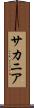 サカニア Scroll