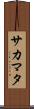 サカマタ Scroll