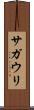 サガウリ Scroll