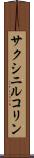 サクシニルコリン Scroll