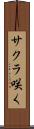 サクラ咲く Scroll