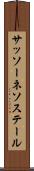 サッソーネソステール Scroll