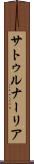 サトゥルナーリア Scroll