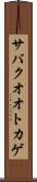 サバクオオトカゲ Scroll