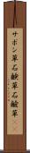 サボン草 Scroll
