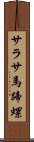 サラサ馬蹄螺 Scroll