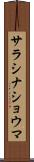 サラシナショウマ Scroll