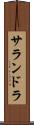 サランドラ Scroll