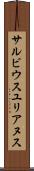 サルビウスユリアヌス Scroll