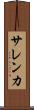 サレンカ Scroll