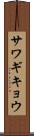 サワギキョウ Scroll