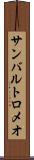 サンバルトロメオ Scroll