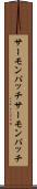 サーモンパッチ Scroll